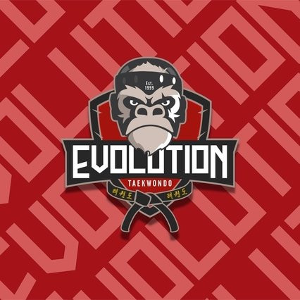 Evolution Taekwondo