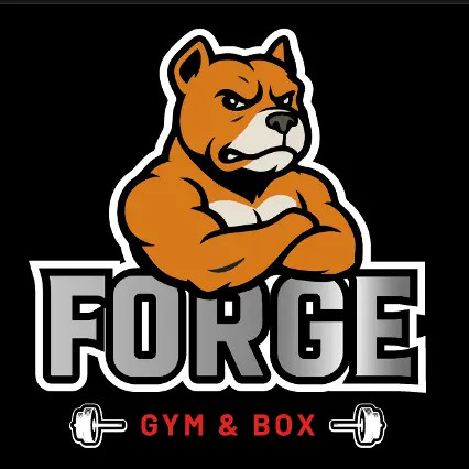 Forge gym & box