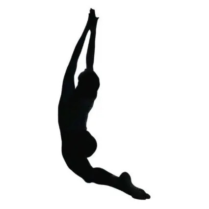 GOTAMYOGA