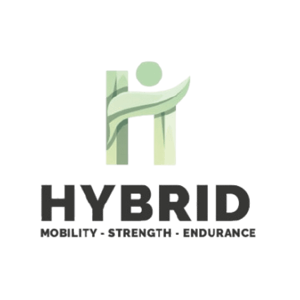 Hybrid Chiclana