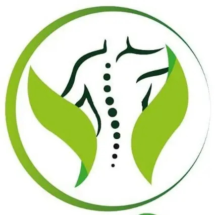 Iguafisio