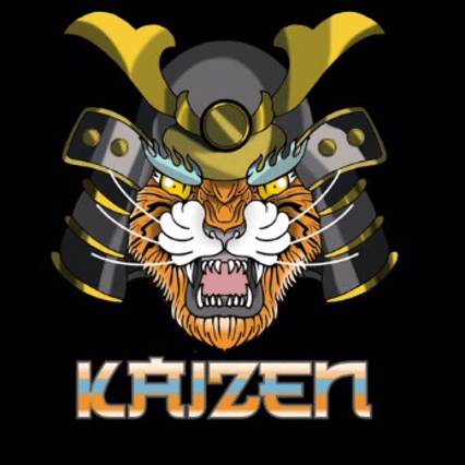 KAIZEN - Entrenamiento