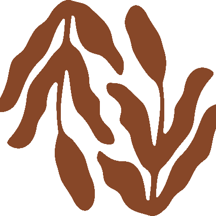La Consciente Yoga Shala