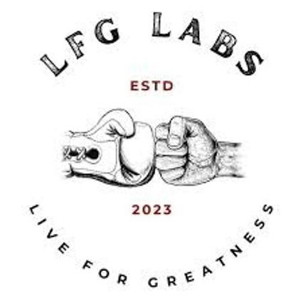 LFG Labs
