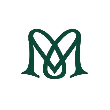 Matcha Moves Heidelberg