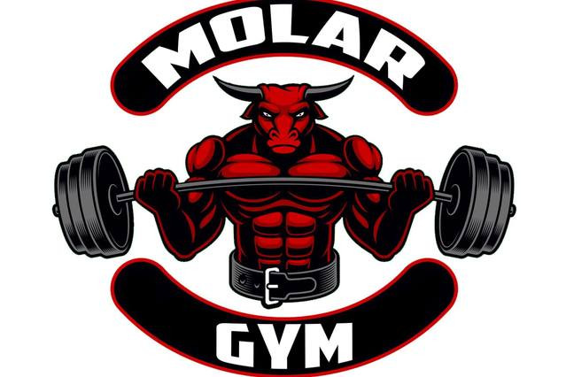 Molar Gym