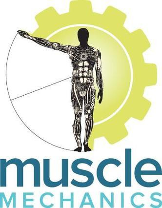 Muscle Mechanics LTM
