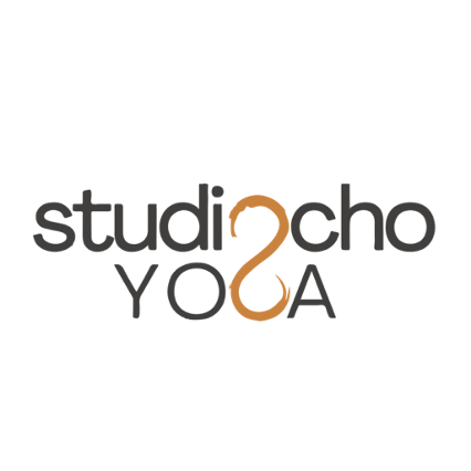N8 Studio