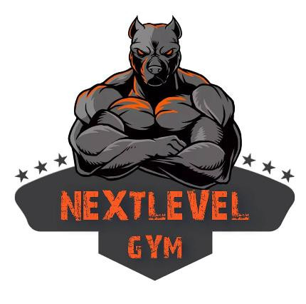 Next Level Roman