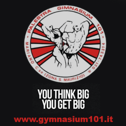 Palestra Gymnasium 101