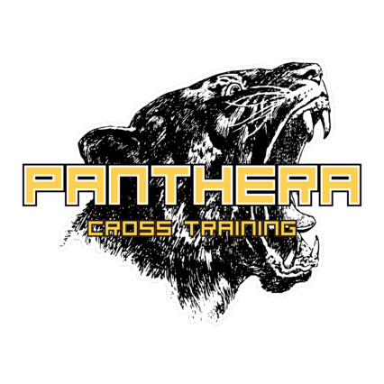 Panthera CT