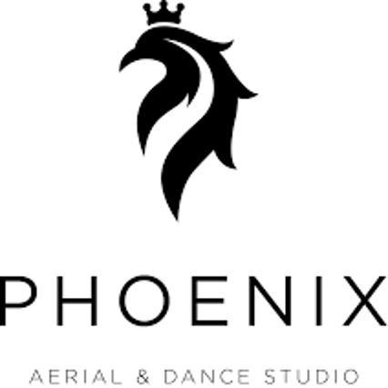 Phoenix Aerial & Dance Studio