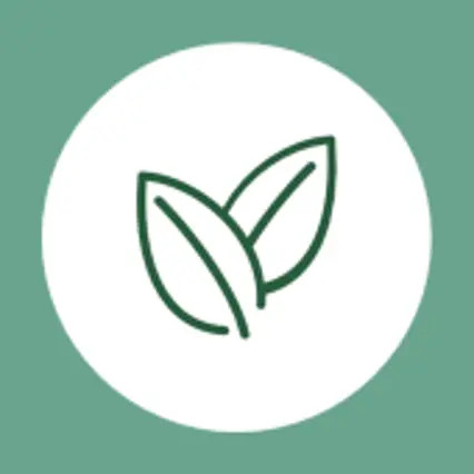 Pilates Loft - moveyourlifePilates