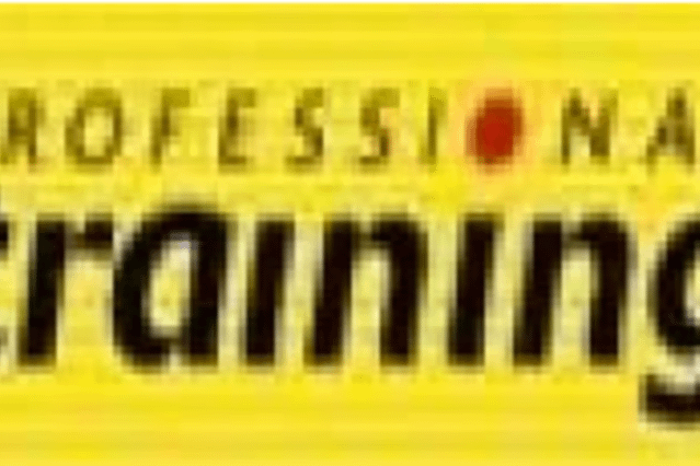 Professional training