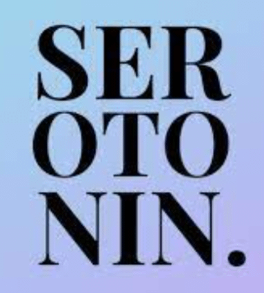 Serotonin Studio