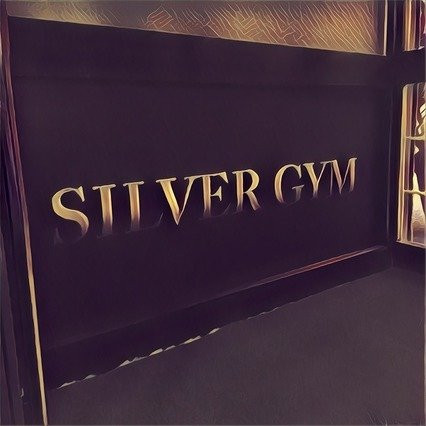 Silver Gym