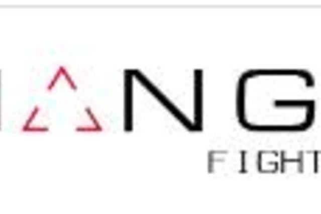Triangle Fight Studio