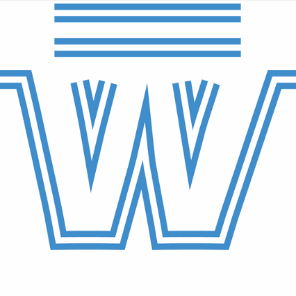 Welltop Trainers