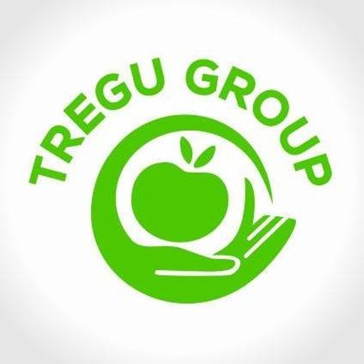 Tregu Group