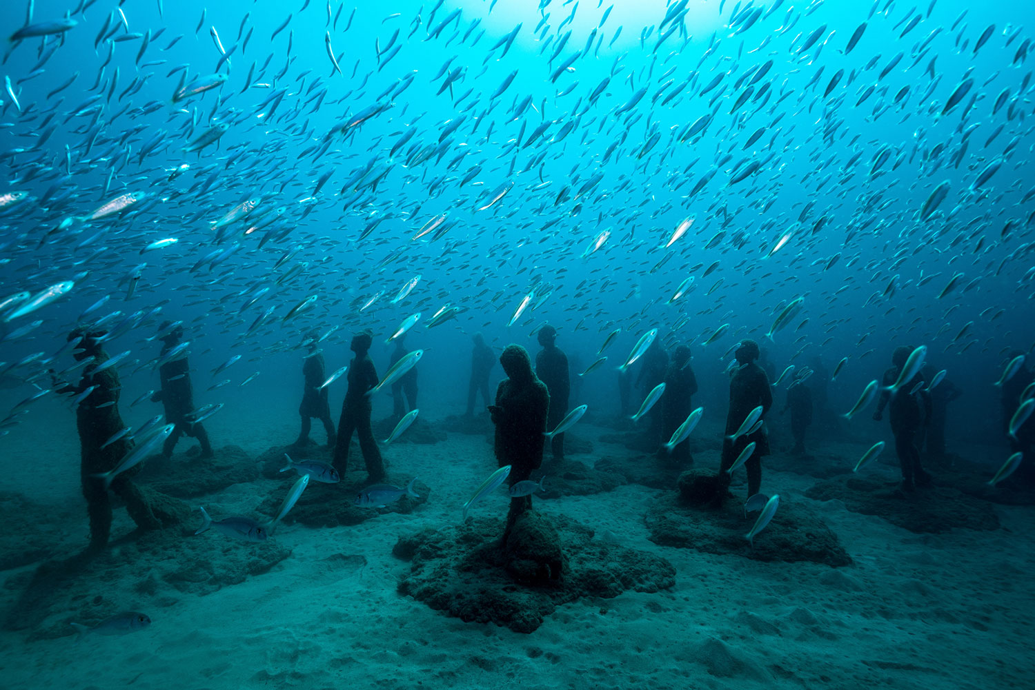 Picture of Dive into the Underwater Museum