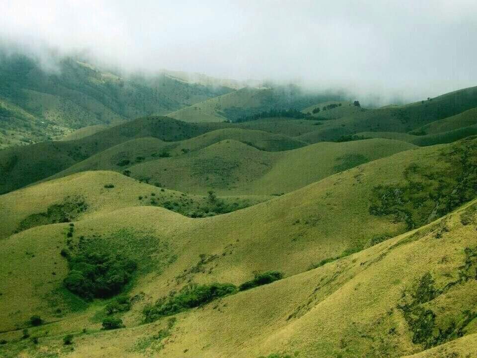 Picture of Embark on a Trek to Mukurthi National Park