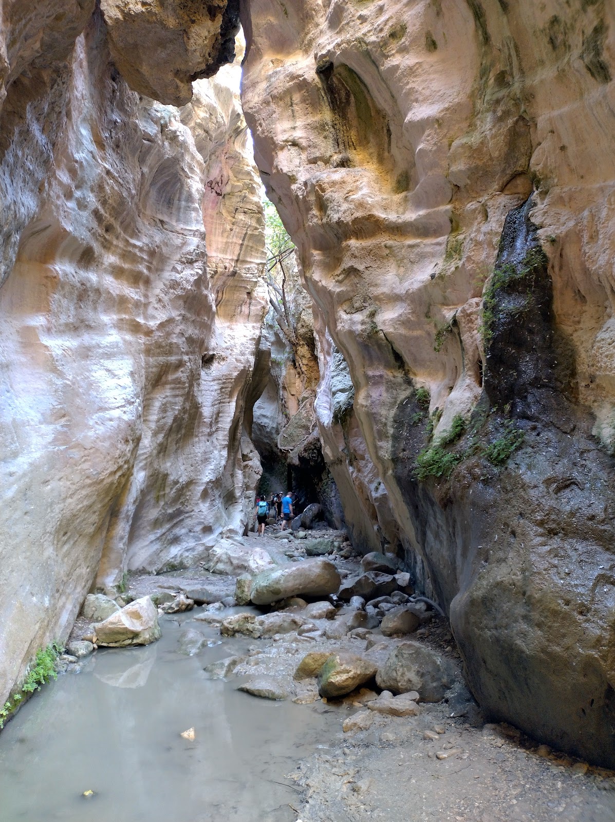 Picture of Explore the Avakas Gorge