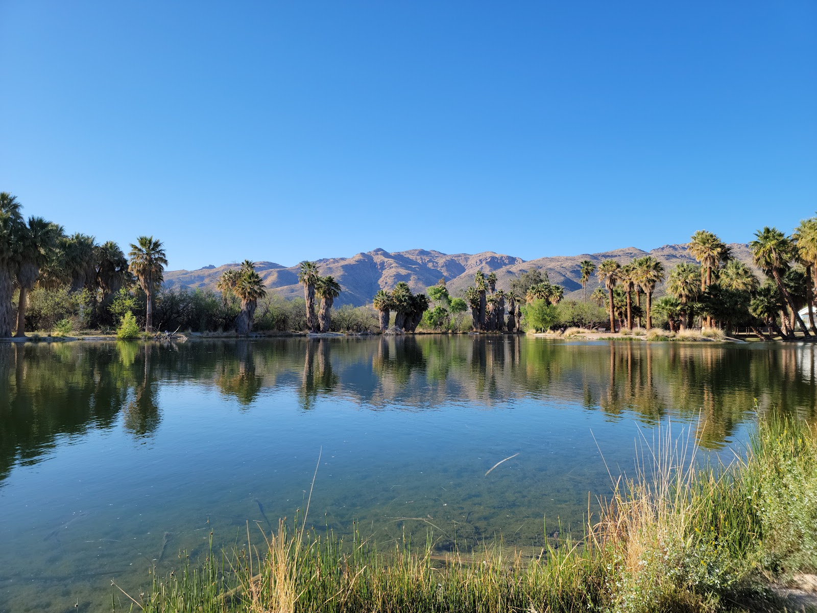 Picture of Relax at Agua Caliente Park