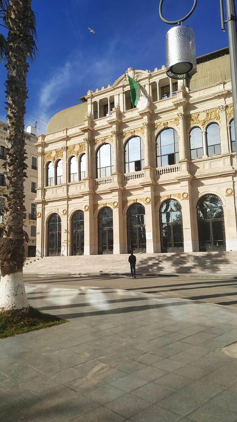 Picture of Attend a Performance at the Algerian National Theater