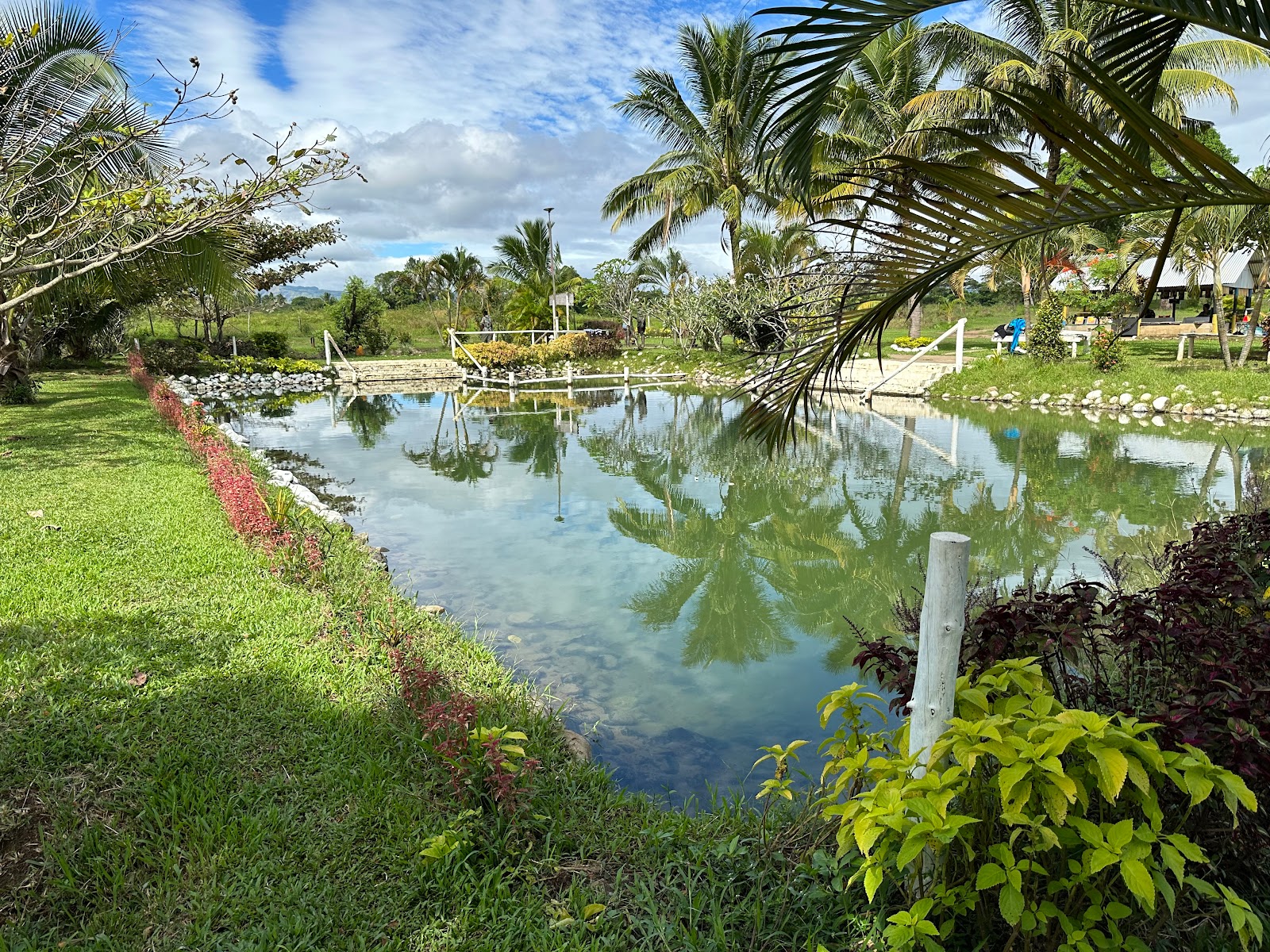 Picture of Dive into the Sabeto Hot Springs and Mud Pool