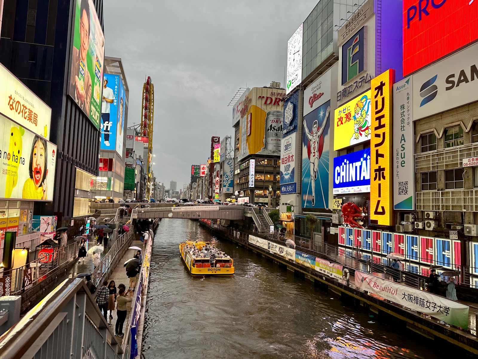 Picture of Feasting on Osaka's Street Food in Dotonbori