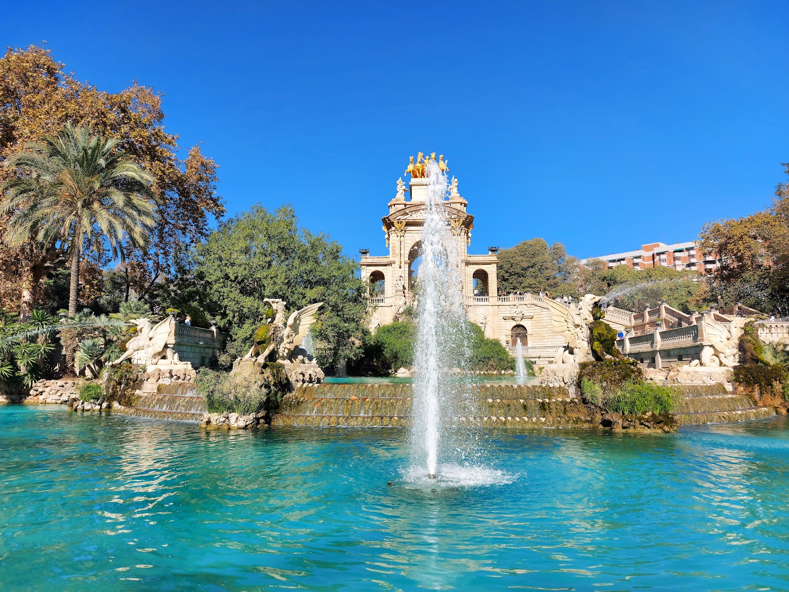 Picture of Relax in the Ciutadella Park