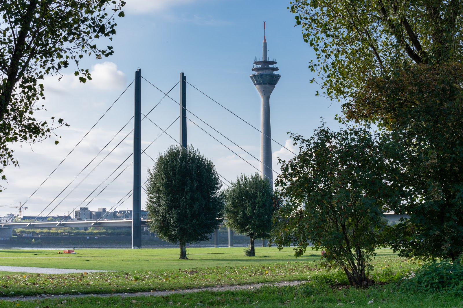 Picture of Visit the Rheinturm