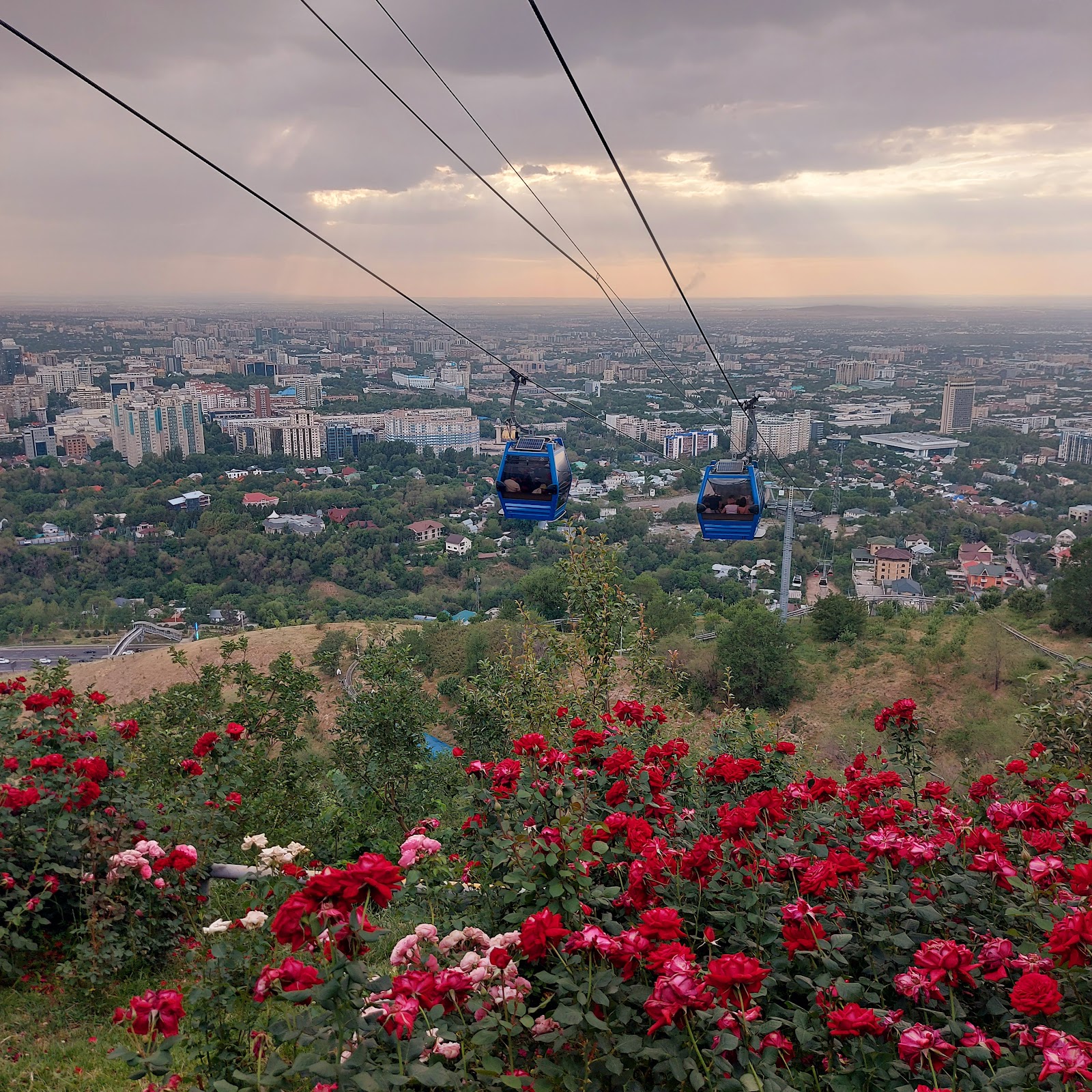 Picture of Relax in Kok-Tobe Hill