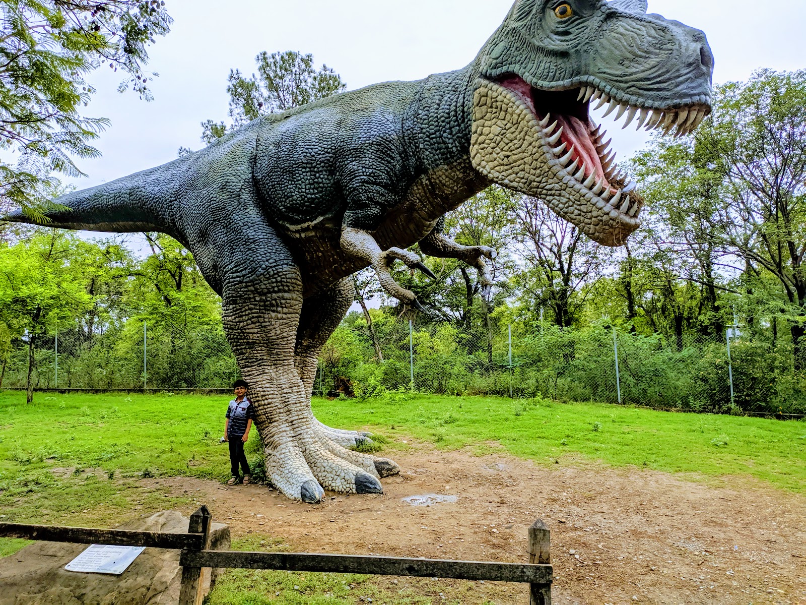 Picture of Stroll Through the Islamabad Zoo & Japanese Park