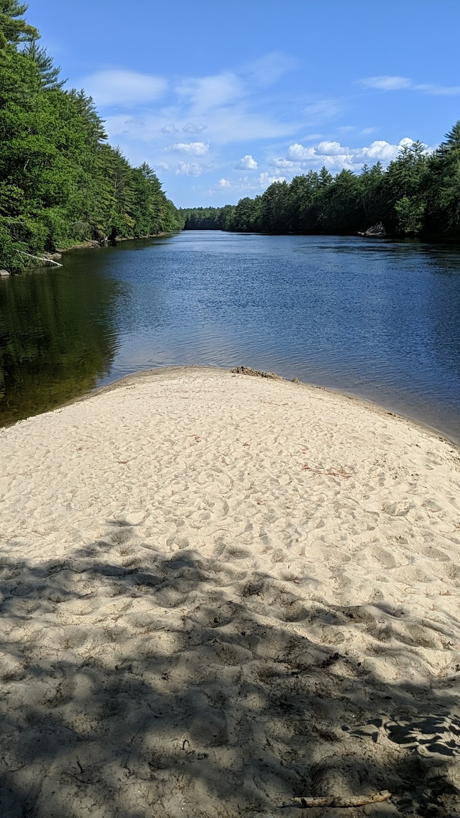 Picture of Canoeing and Paddling on the Saco River