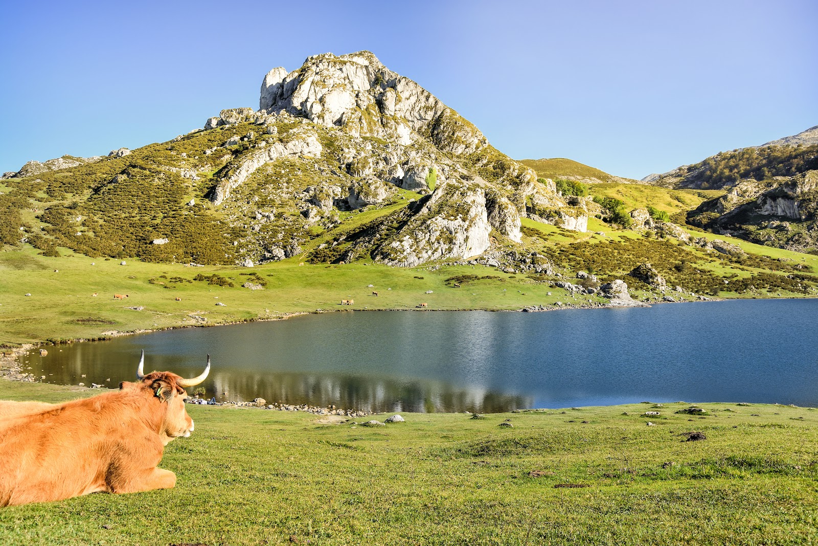 Picture of Explore the Covadonga Lakes