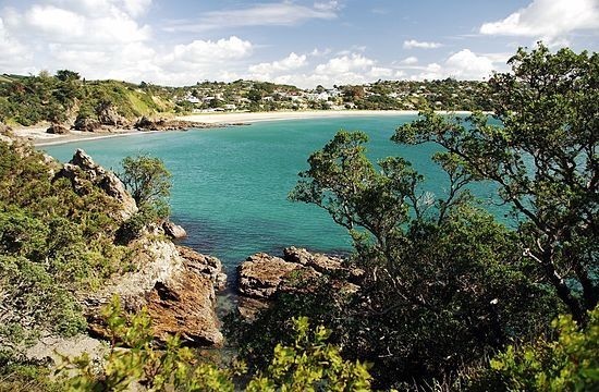 Picture of Take a Day Trip to Waiheke Island