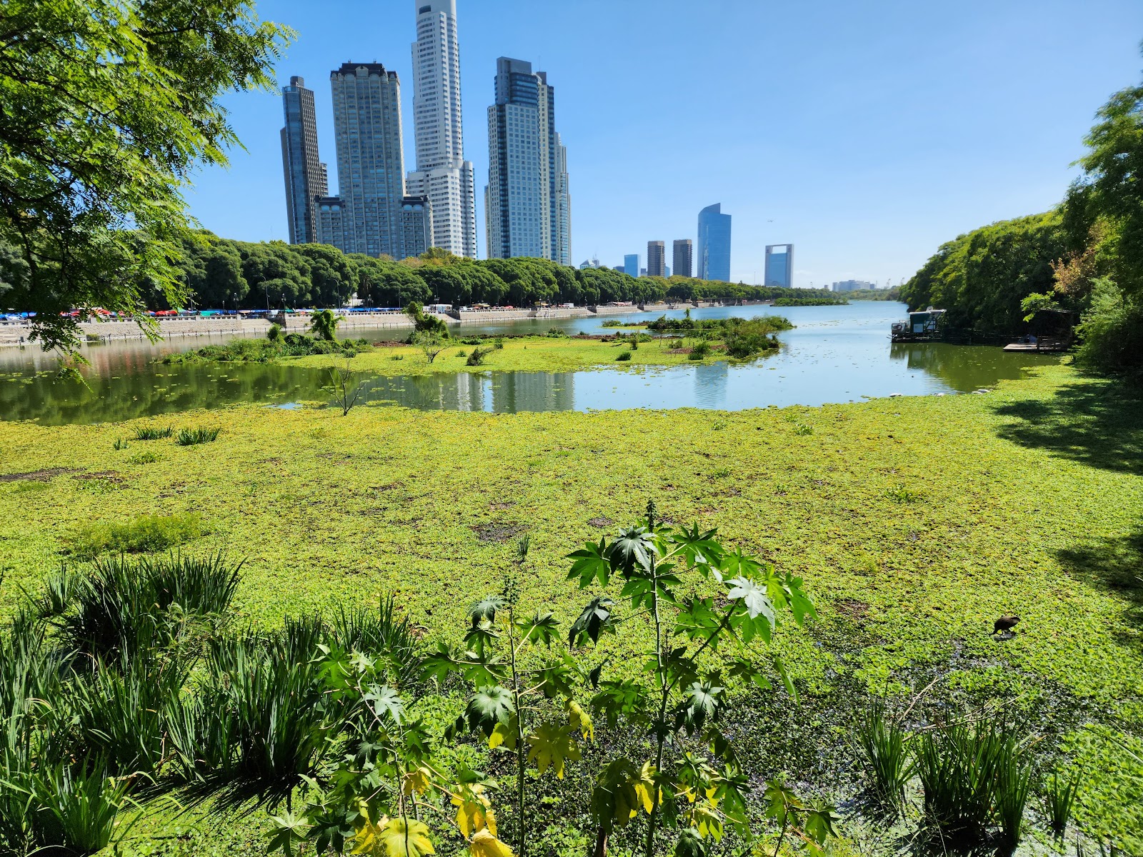 Picture of Explore the Ecological Reserve