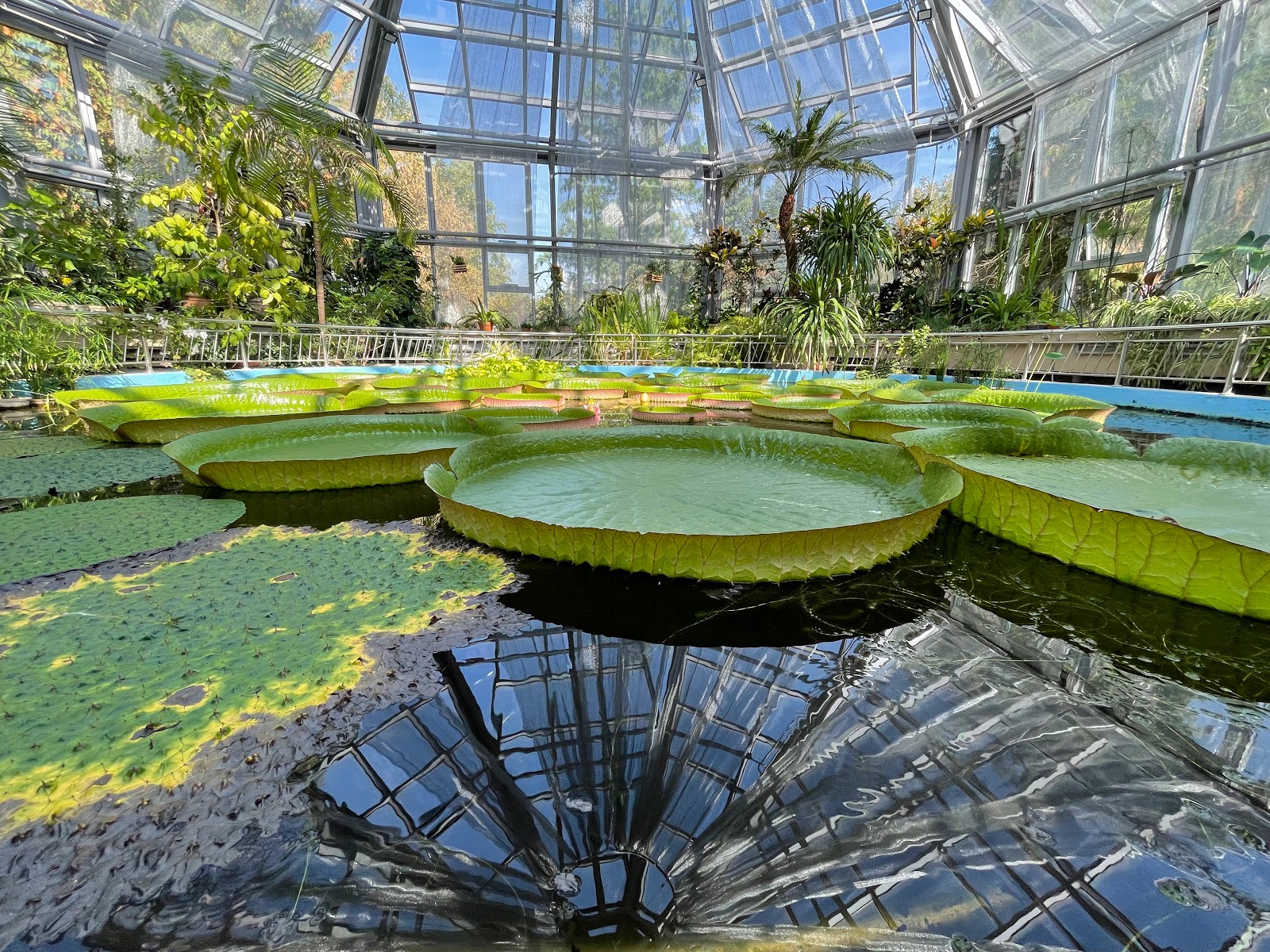 Picture of Discover the Charm of the Botanical Garden