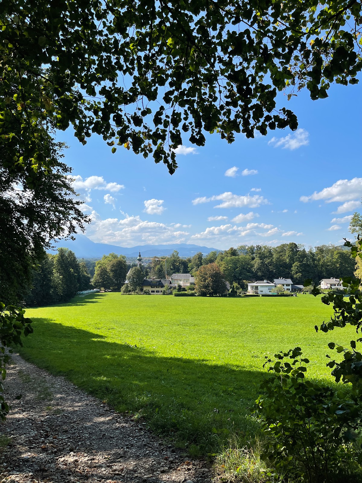 Picture of Relax in the Stadtpark