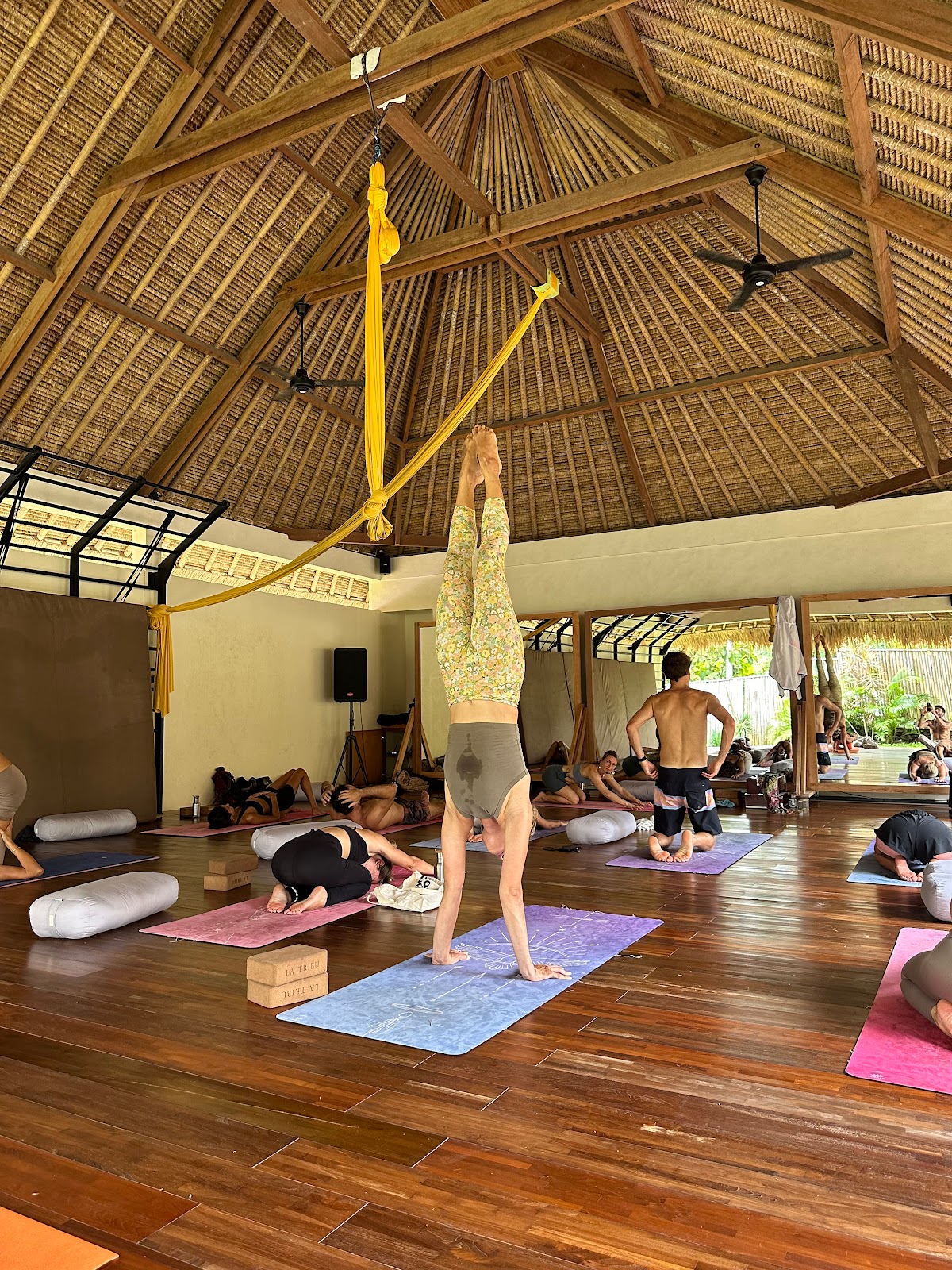 Picture of Yoga and Wellness Retreats