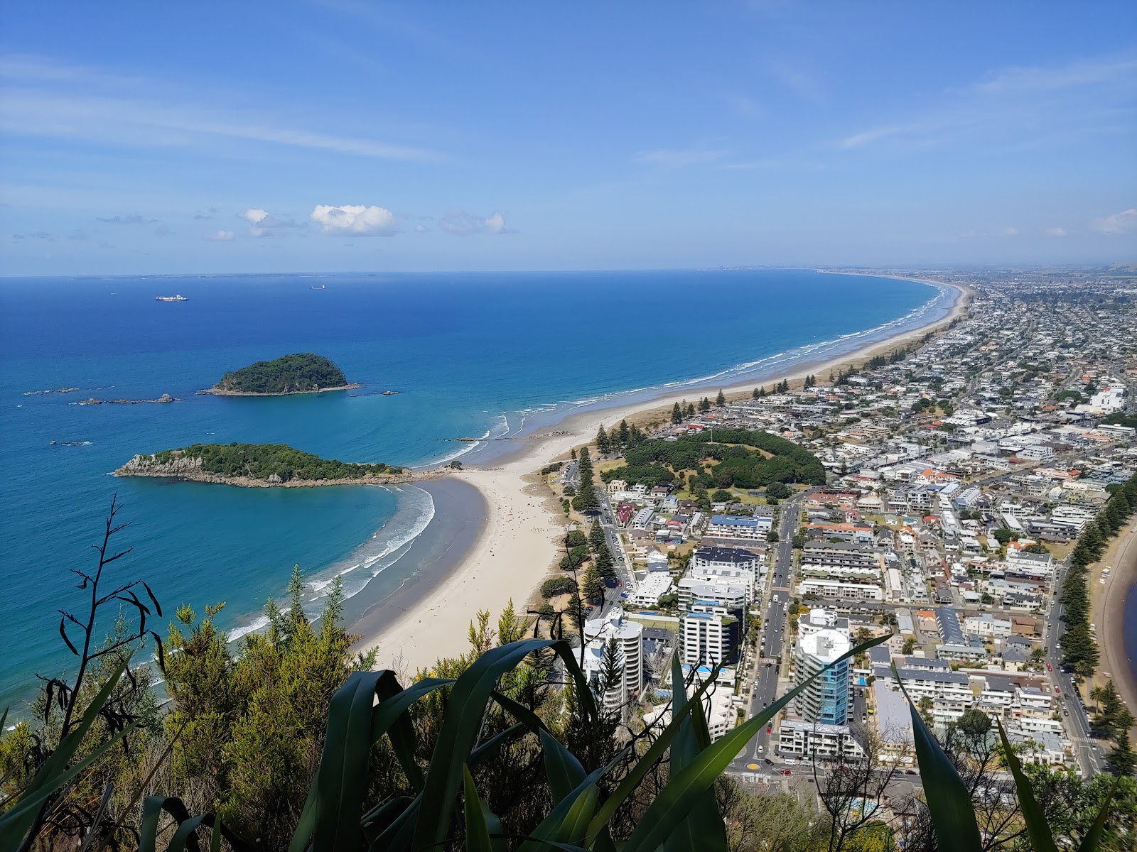 Picture of Climb Mount Maunganui