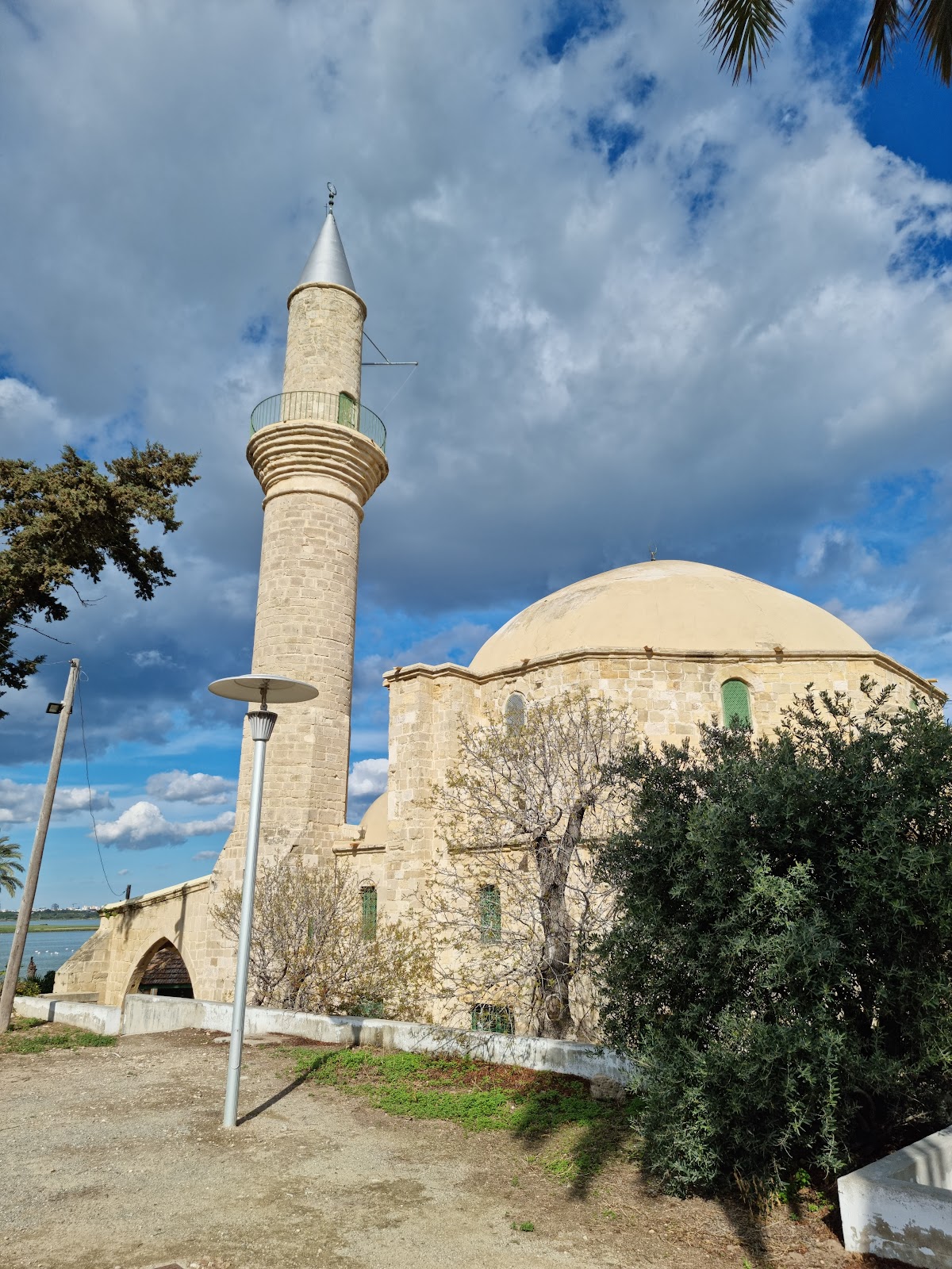 Picture of Explore the Salt Lake and Hala Sultan Tekke