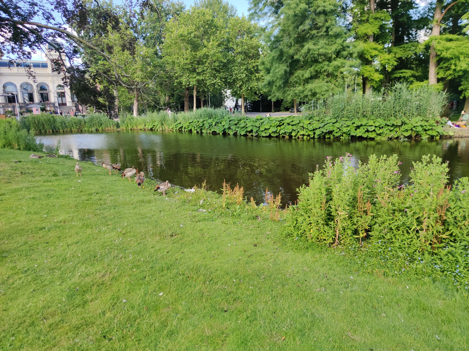 Picture of Relaxing in Amsterdam's Parks