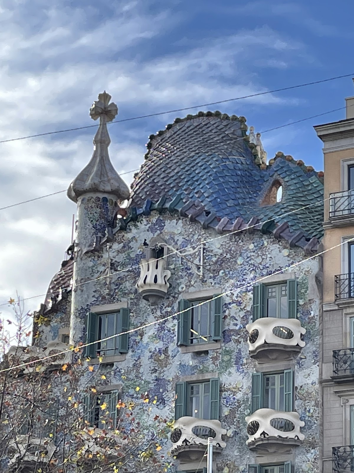 Picture of Visit Casa Batlló