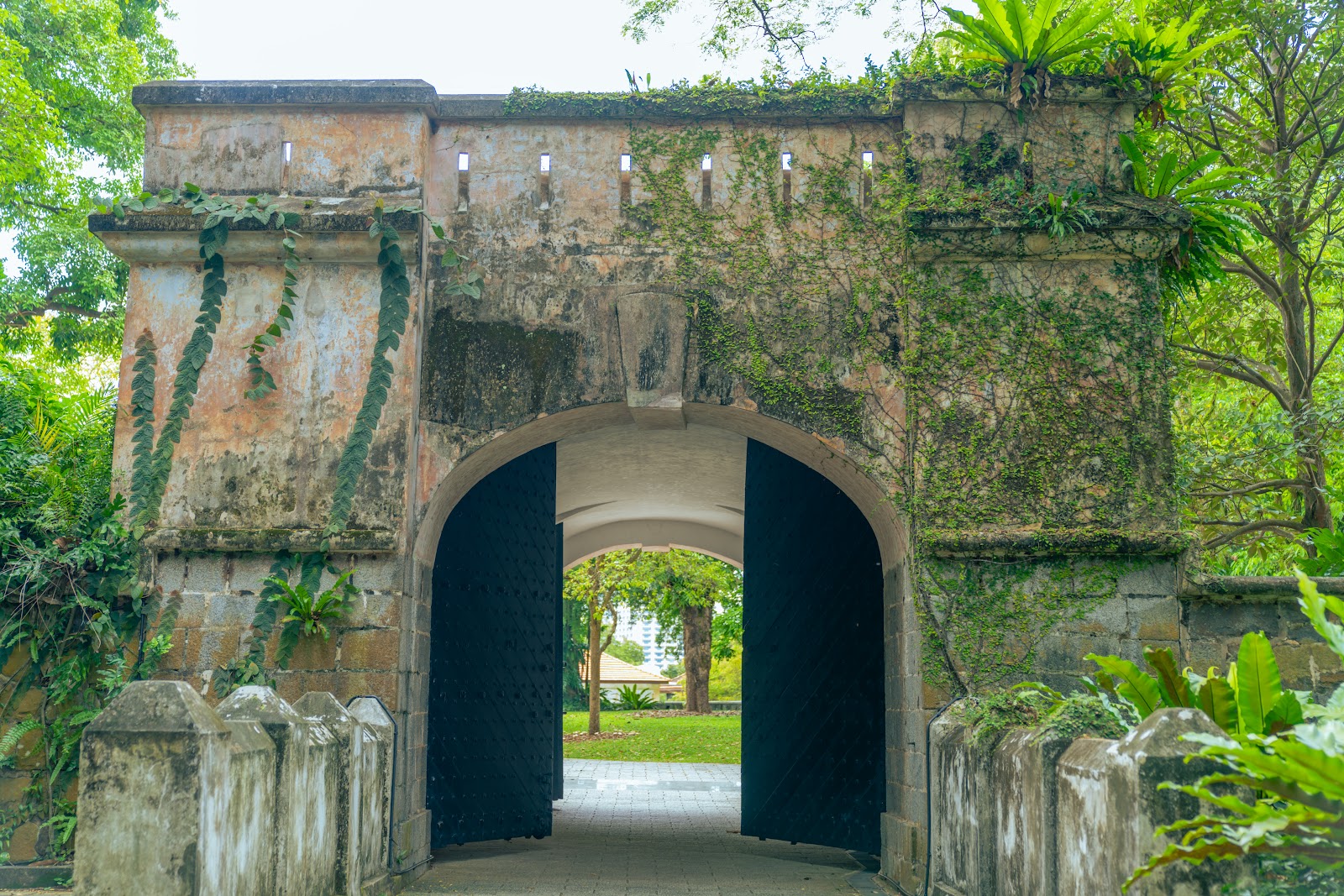 Picture of Photography Walk at Fort Canning Park