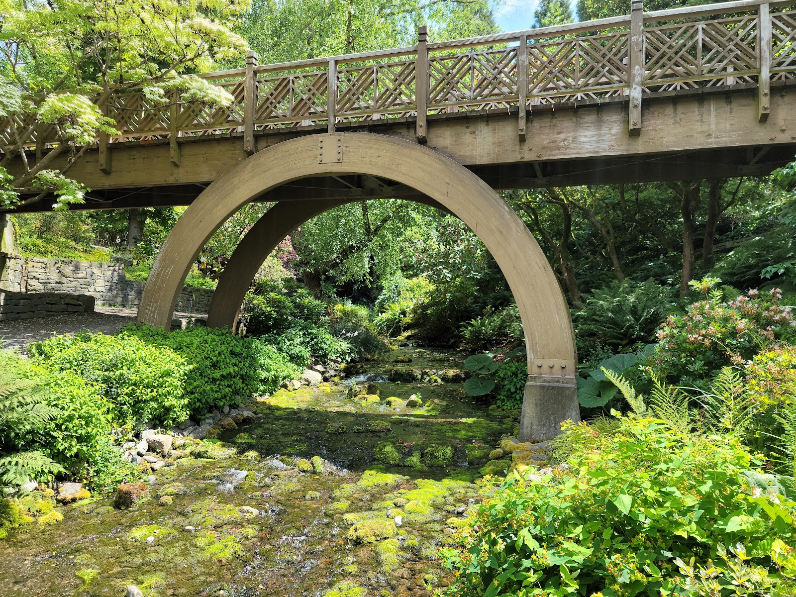 Picture of Relax at the Crystal Springs Rhododendron Garden