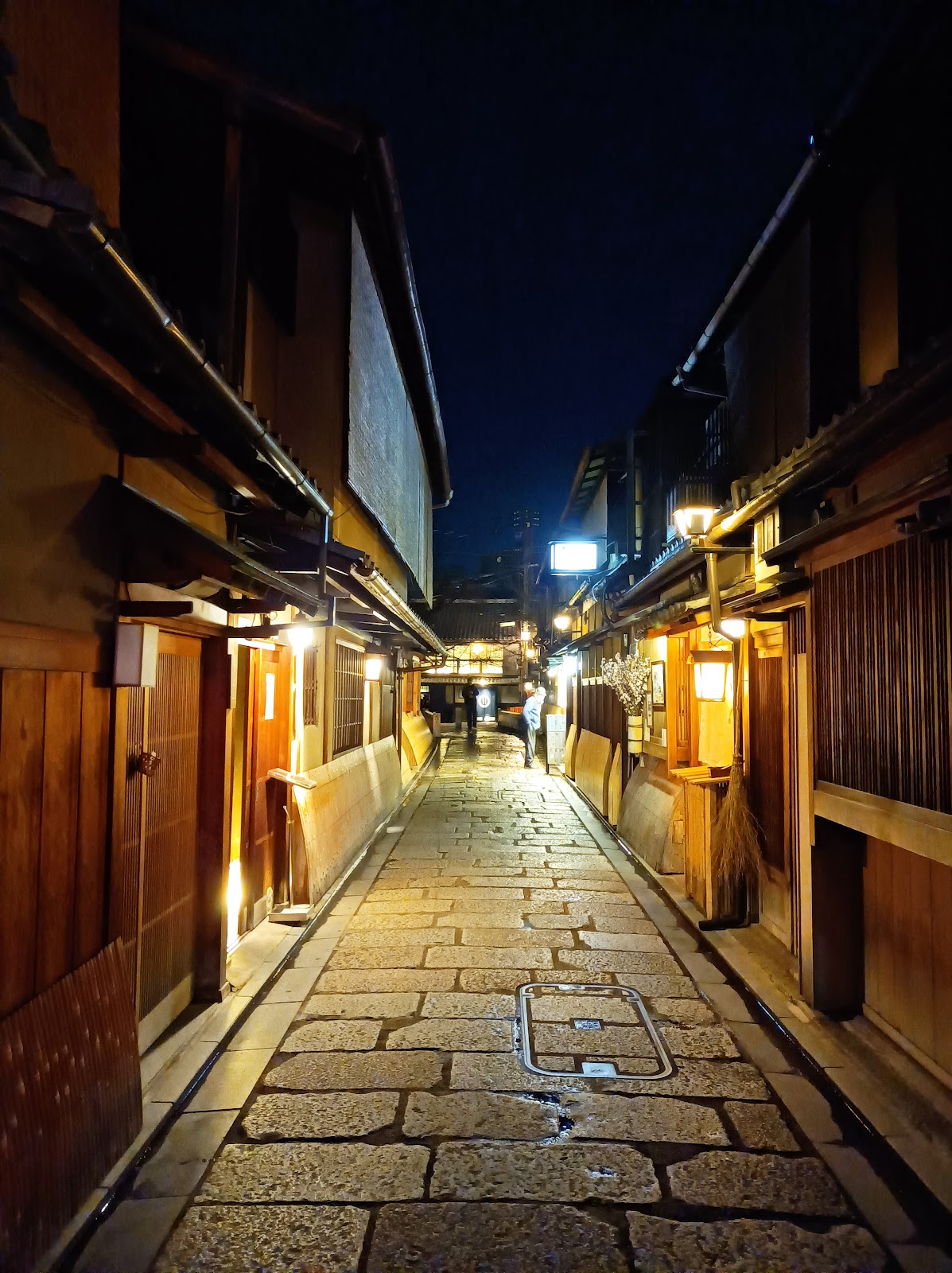 Picture of Experience the Vibrancy of Gion at Night