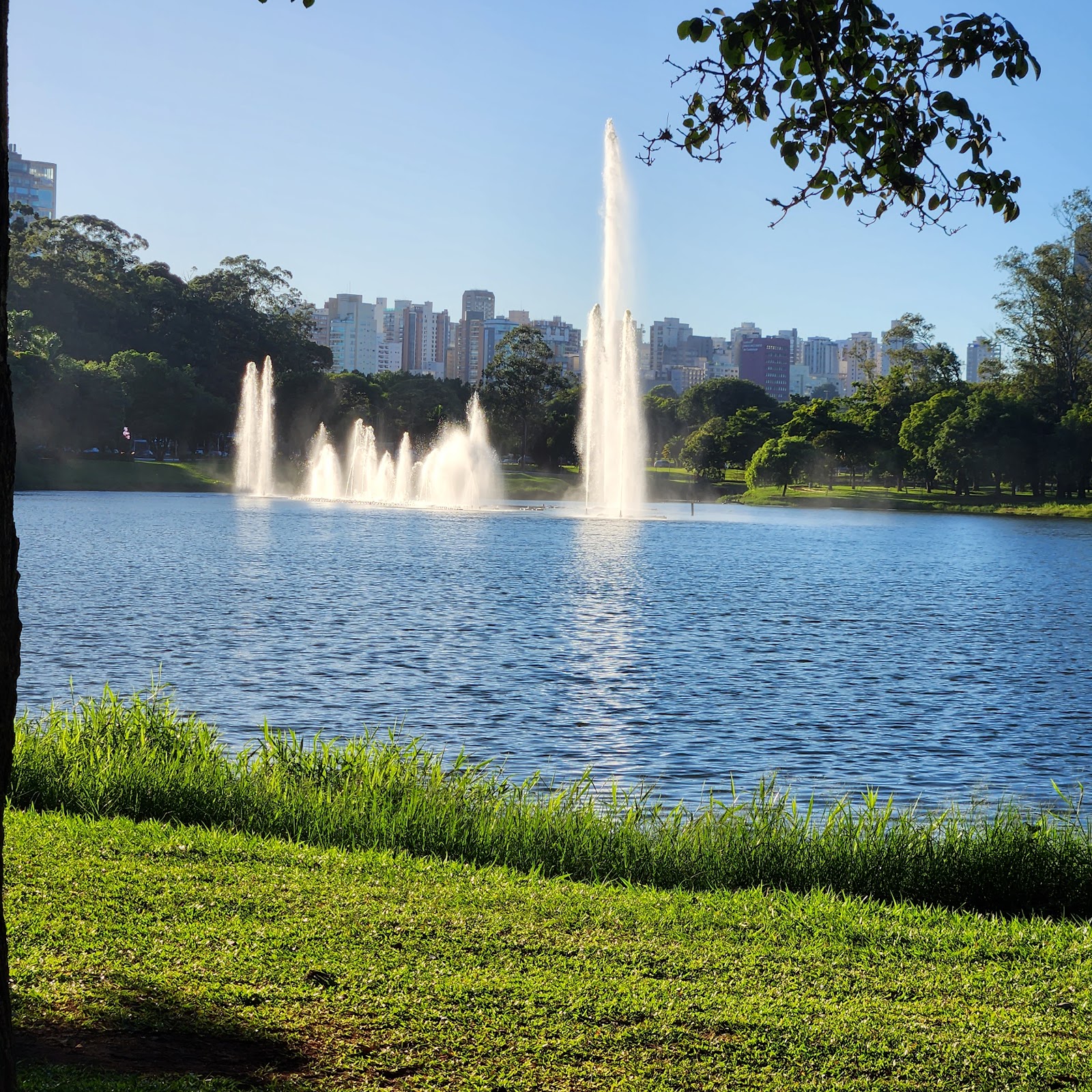 Picture of Discover Ibirapuera Park