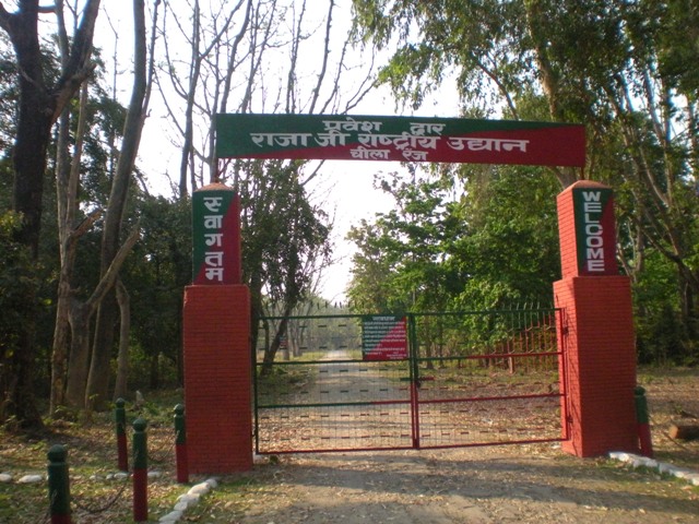 Picture of Explore the Rajaji National Park